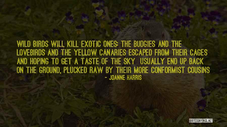 Birds Sky Quotes By Joanne Harris Birds Sky Quotes By Joanne Harris