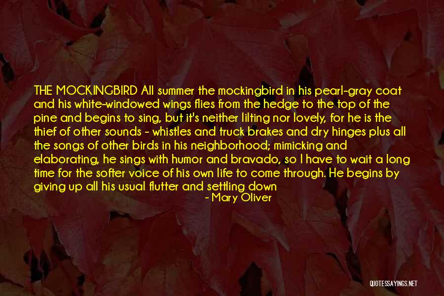Birds Sky Quotes By Mary Oliver Birds Sky Quotes By Mary Oliver