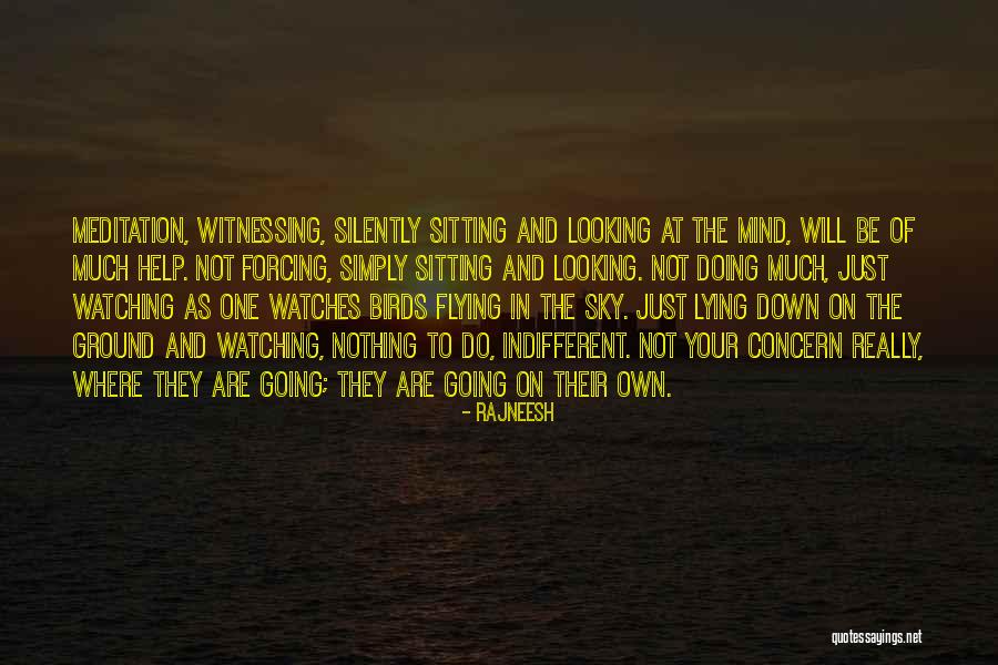 Birds Sky Quotes By Rajneesh Birds Sky Quotes By Rajneesh