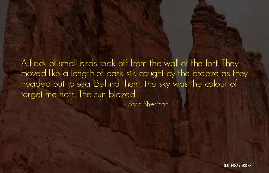 Birds Sky Quotes By Sara Sheridan Birds Sky Quotes By Sara Sheridan