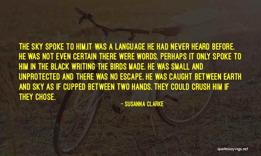Birds Sky Quotes By Susanna Clarke Birds Sky Quotes By Susanna Clarke