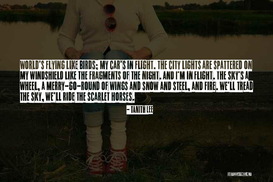 Birds Sky Quotes By Tanith Lee Birds Sky Quotes By Tanith Lee