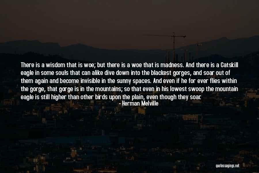 Birds Soar Quotes By Herman Melville Birds Soar Quotes By Herman Melville