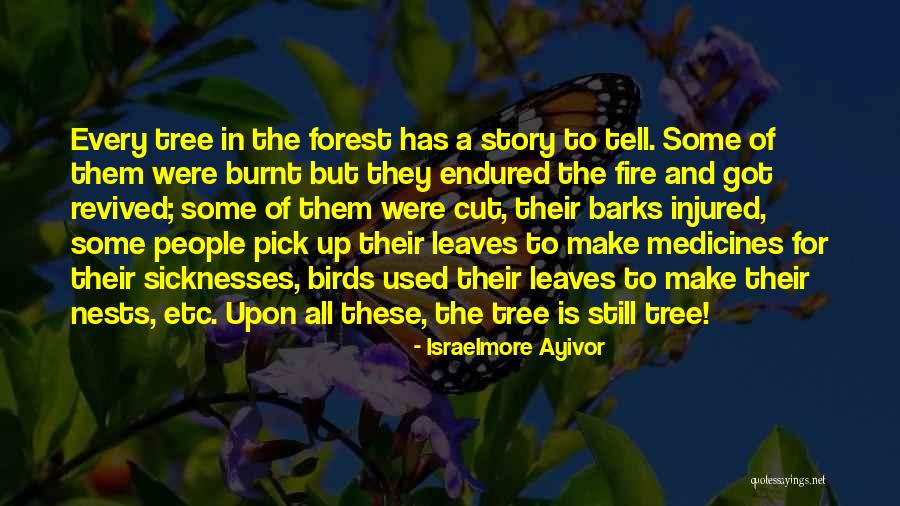 Birds Story Quotes By Israelmore Ayivor Birds Story Quotes By Israelmore Ayivor