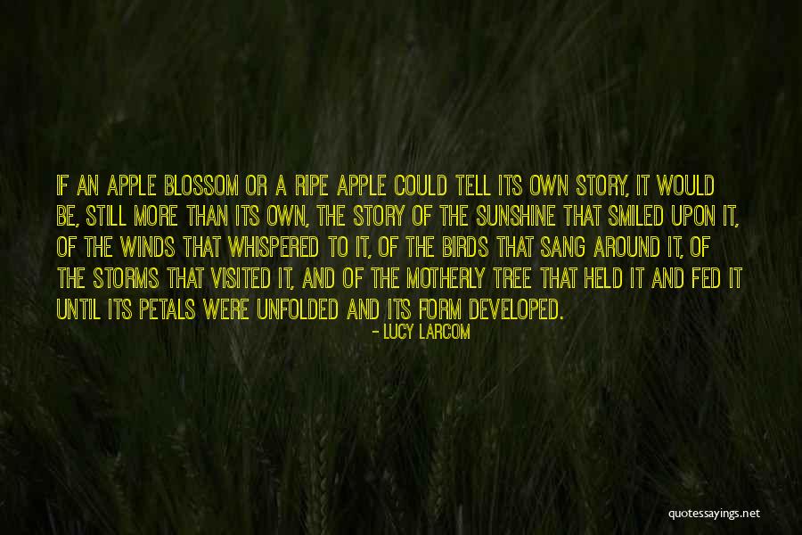 Birds Story Quotes By Lucy Larcom Birds Story Quotes By Lucy Larcom