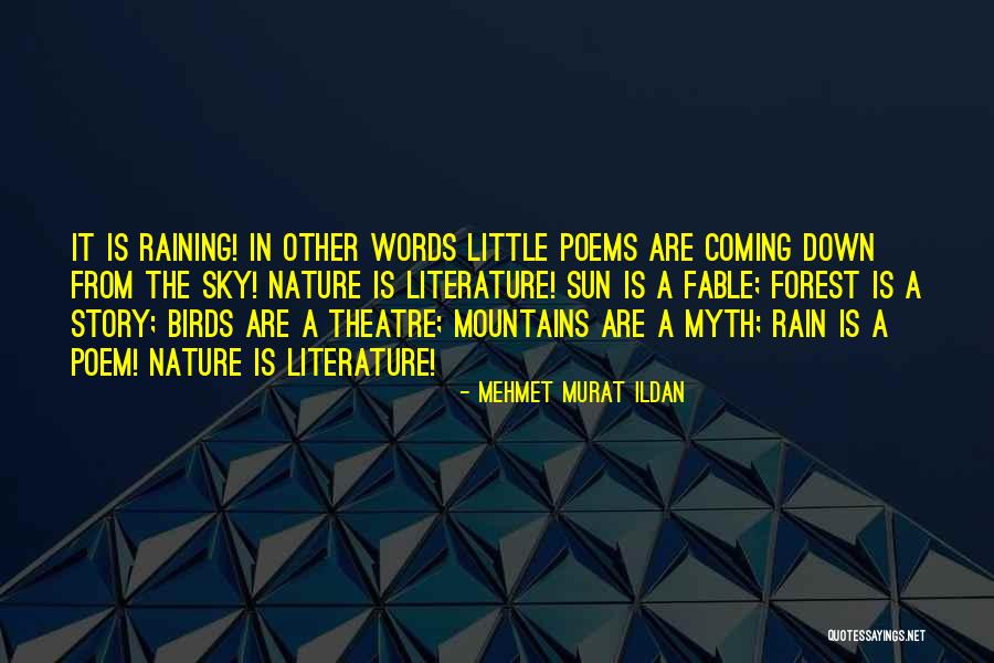 Birds Story Quotes By Mehmet Murat Ildan Birds Story Quotes By Mehmet Murat Ildan
