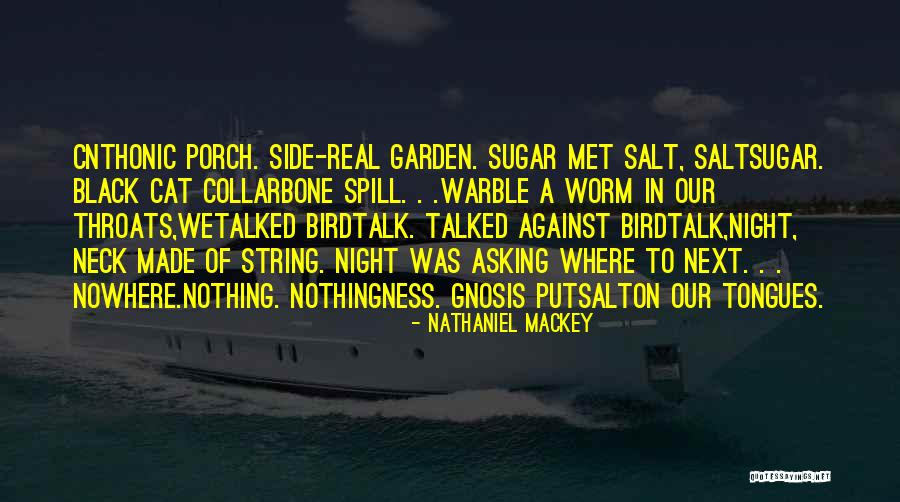 Birdtalk Quotes By Nathaniel Mackey Birdtalk Quotes By Nathaniel Mackey