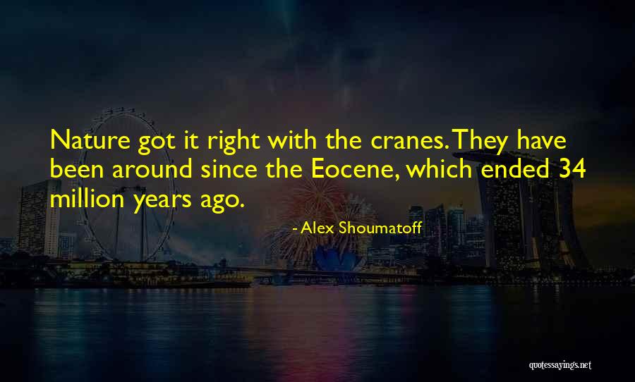Birdwells Bossier Quotes By Alex Shoumatoff Birdwells Bossier Quotes By Alex Shoumatoff