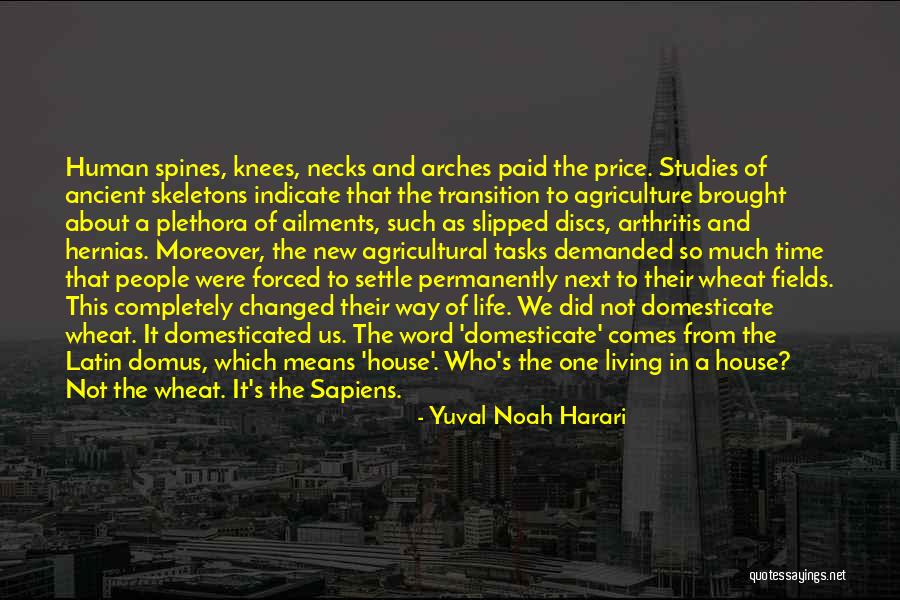 Birfdays Quotes By Yuval Noah Harari Birfdays Quotes By Yuval Noah Harari