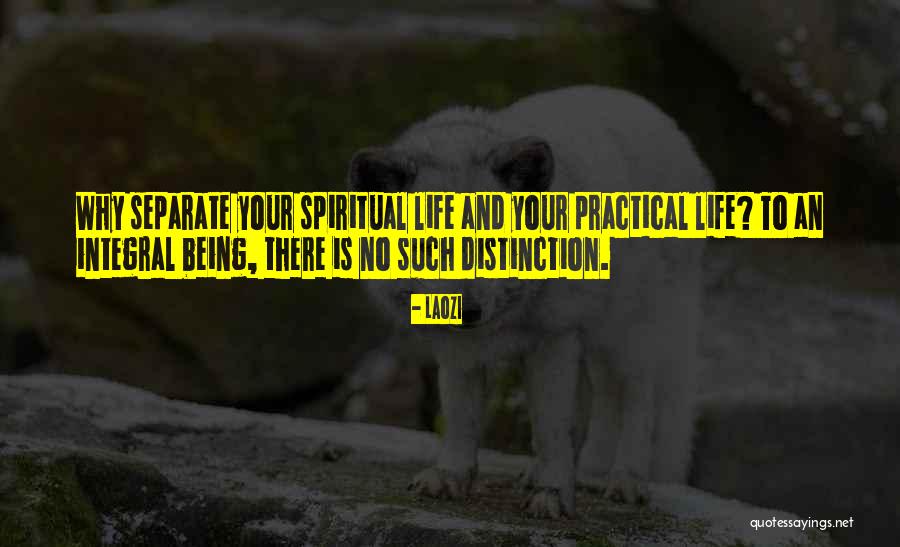 Birgfeld Paige Quotes By Laozi Birgfeld Paige Quotes By Laozi