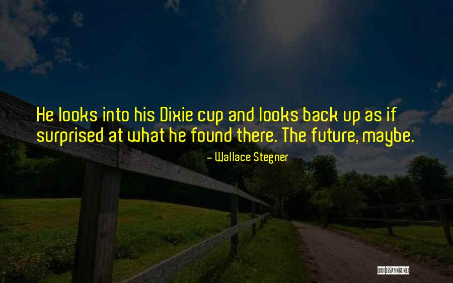 Biriba Plant Quotes By Wallace Stegner Biriba Plant Quotes By Wallace Stegner