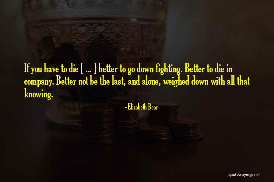 Birkeland Bros Quotes By Elizabeth Bear Birkeland Bros Quotes By Elizabeth Bear