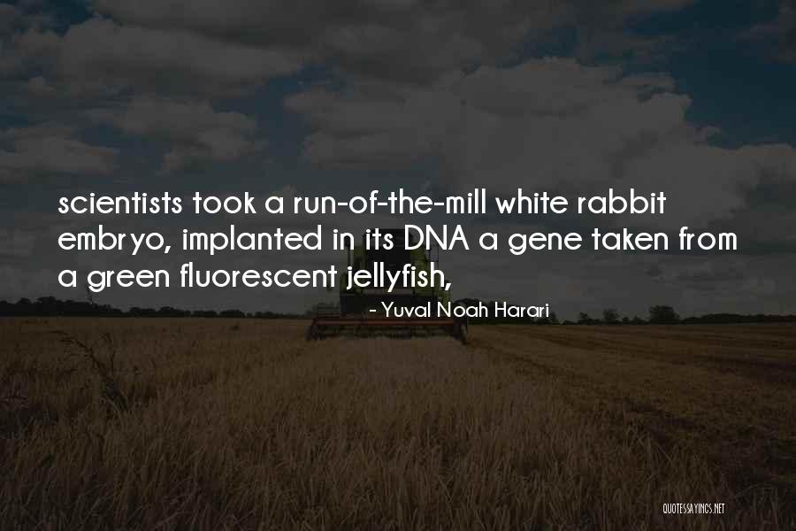 Birmania Mapa Quotes By Yuval Noah Harari Birmania Mapa Quotes By Yuval Noah Harari