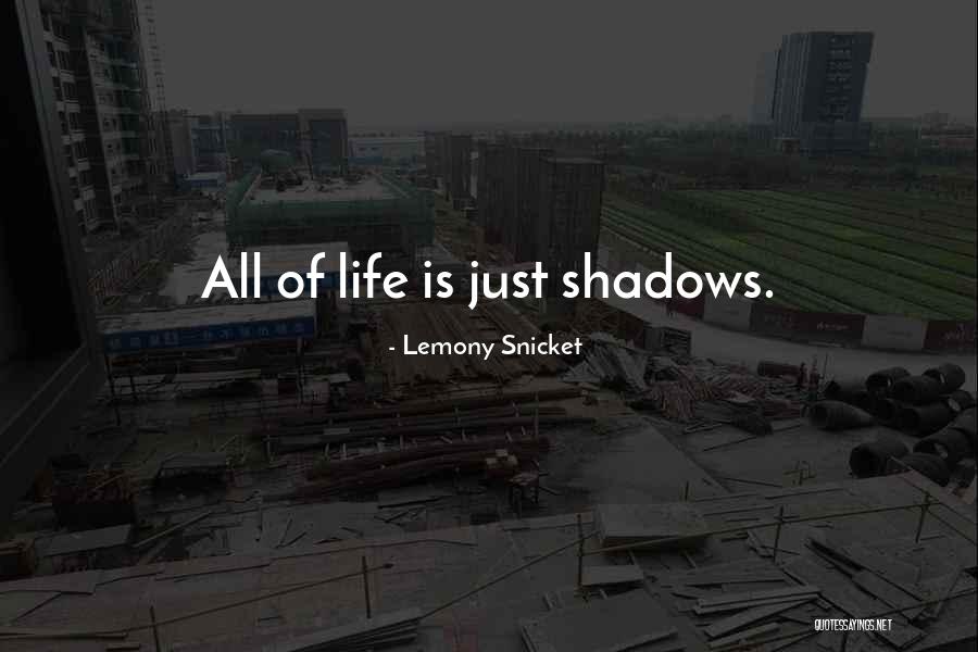 Birmingham Fencing Quotes By Lemony Snicket Birmingham Fencing Quotes By Lemony Snicket