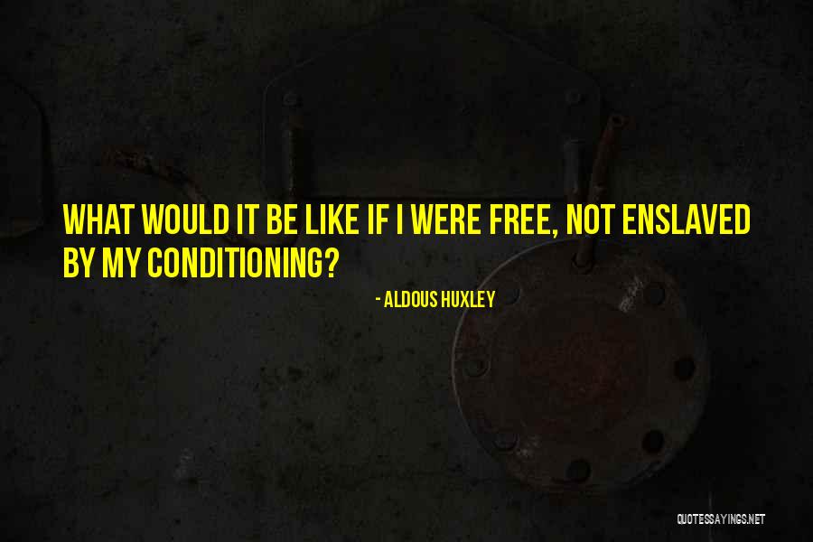 Birrenkott Quotes By Aldous Huxley Birrenkott Quotes By Aldous Huxley