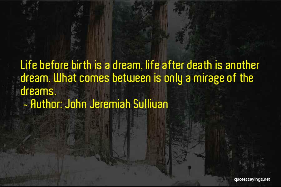 Birth After Death Quotes By John Jeremiah Sullivan