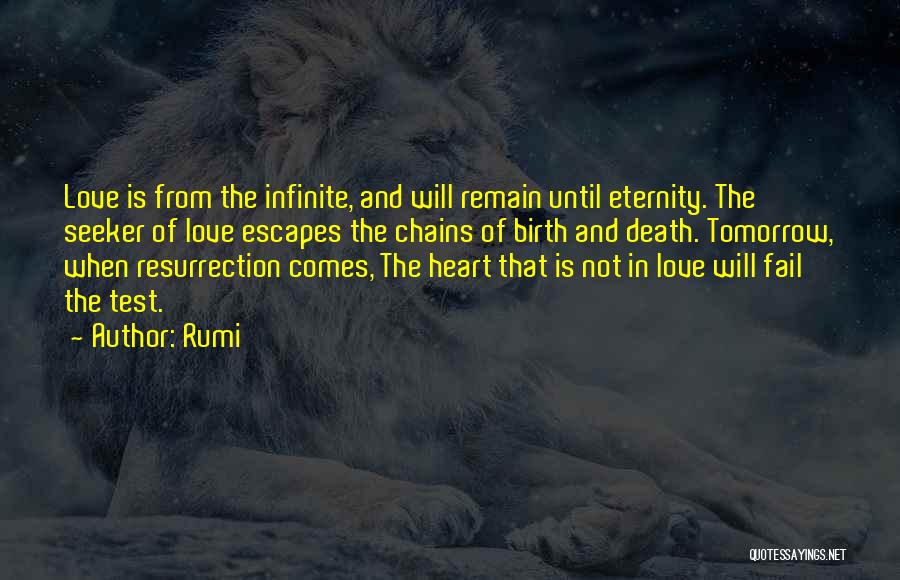 Birth And Death Quotes By Rumi