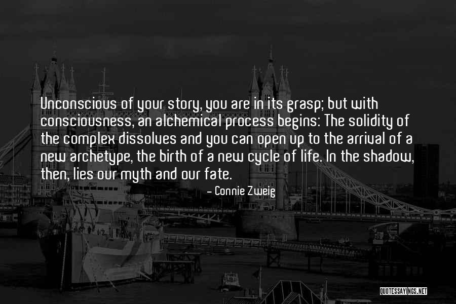 Birth And New Life Quotes By Connie Zweig Birth And New Life Quotes By Connie Zweig