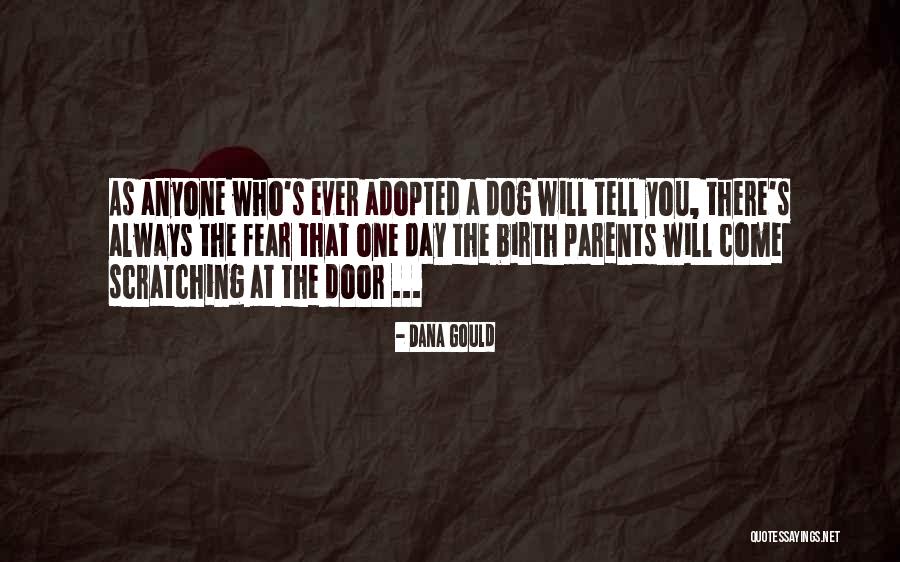 Birth Day Quotes By Dana Gould Birth Day Quotes By Dana Gould