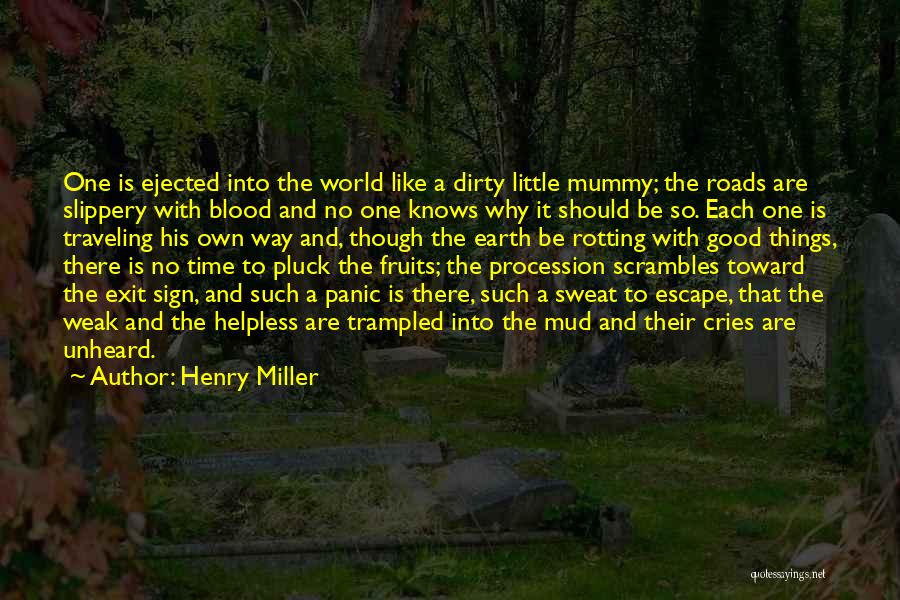 Birth Life And Death Quotes By Henry Miller