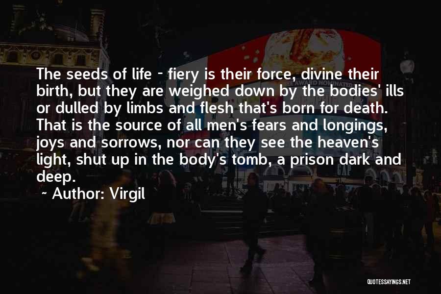 Birth Life And Death Quotes By Virgil