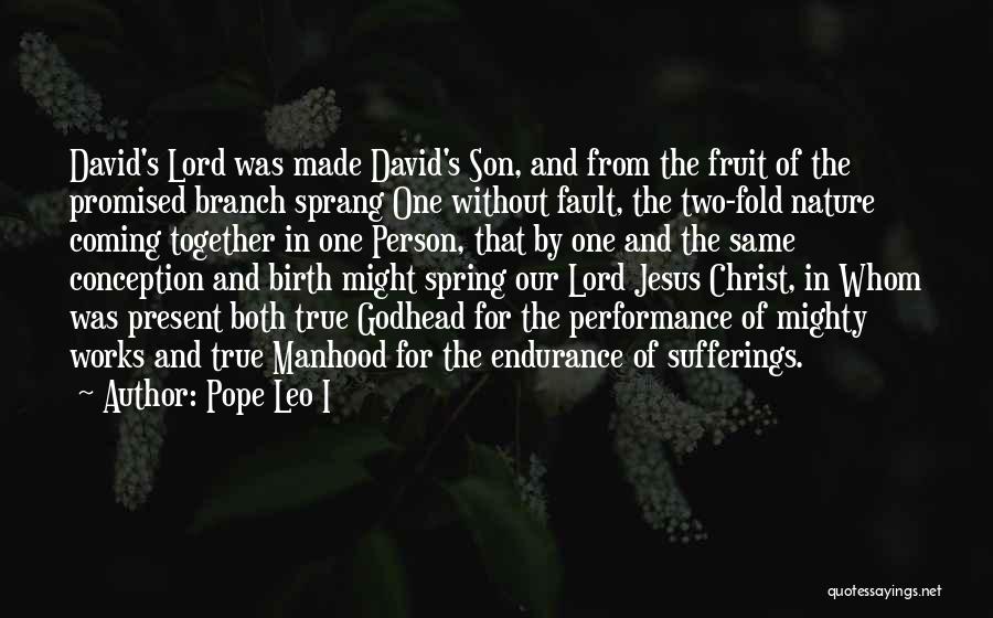 Birth Of Jesus Quotes By Pope Leo I