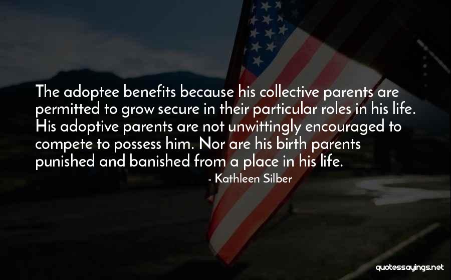 Birth Parents Quotes By Kathleen Silber