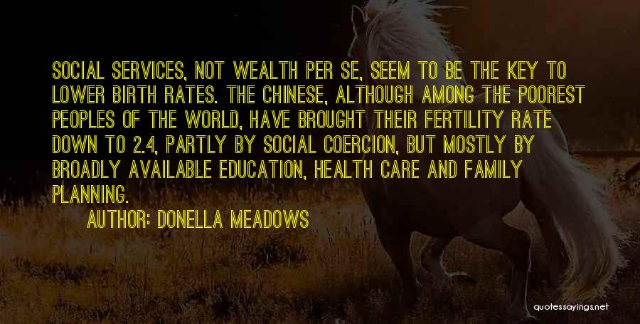 Birth Rate Quotes By Donella Meadows