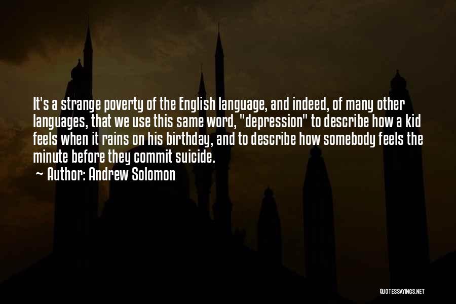 Birthday Before Quotes By Andrew Solomon