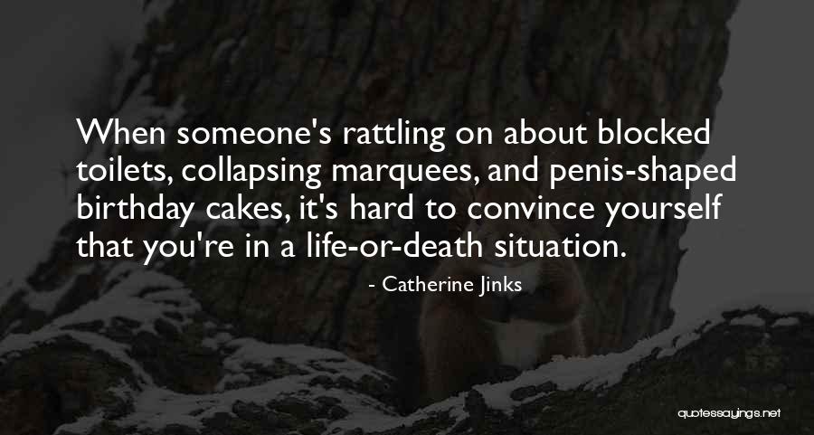 Birthday Cakes Quotes By Catherine Jinks