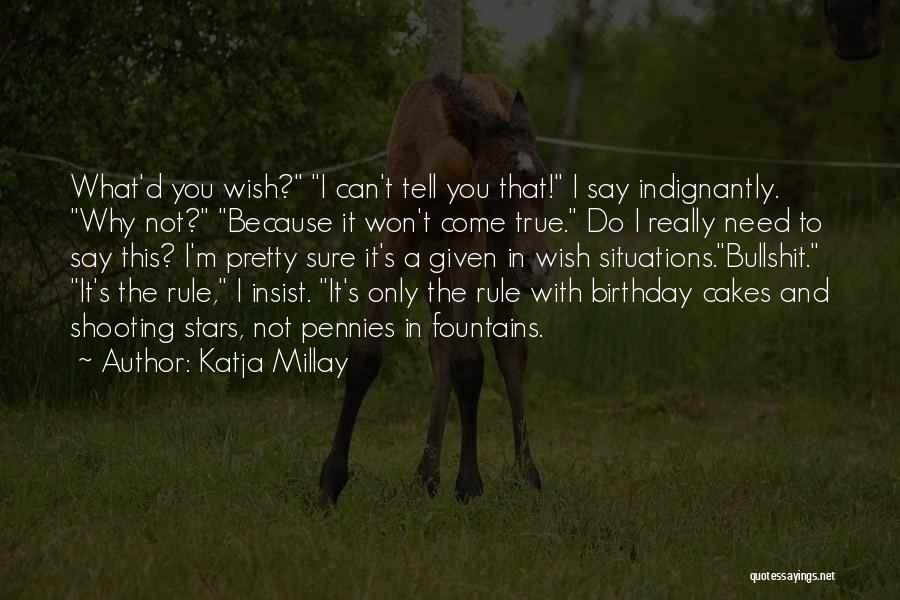 Birthday Cakes Quotes By Katja Millay