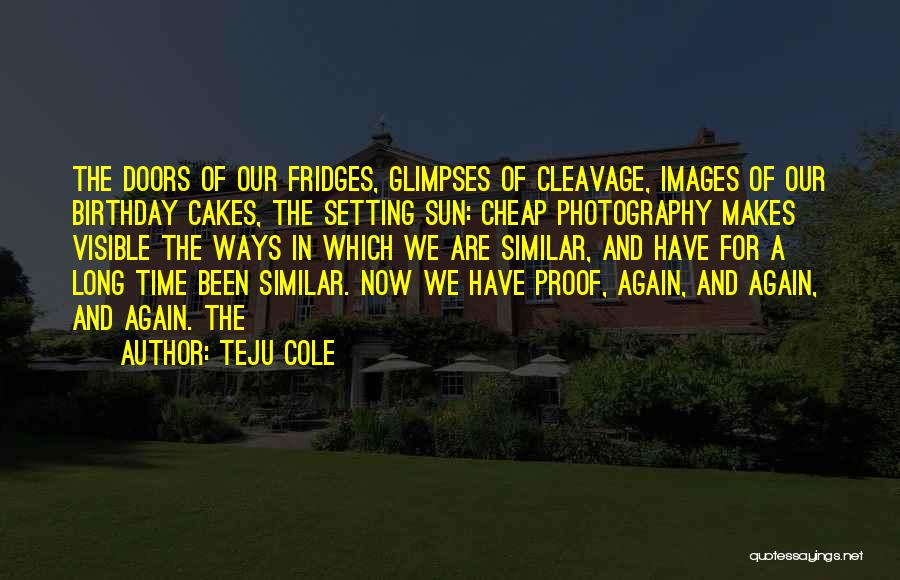 Birthday Cakes Quotes By Teju Cole