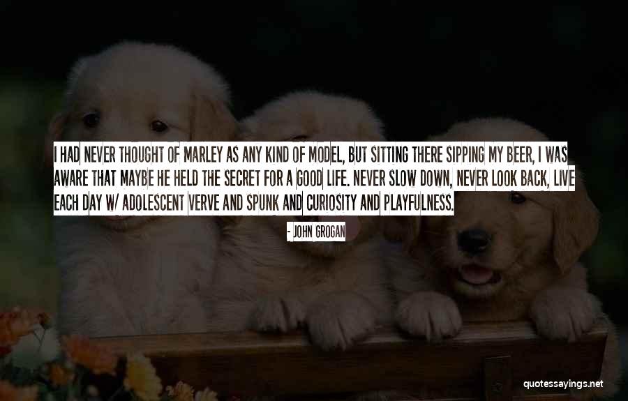 Birthday Jokes Quotes By John Grogan Birthday Jokes Quotes By John Grogan