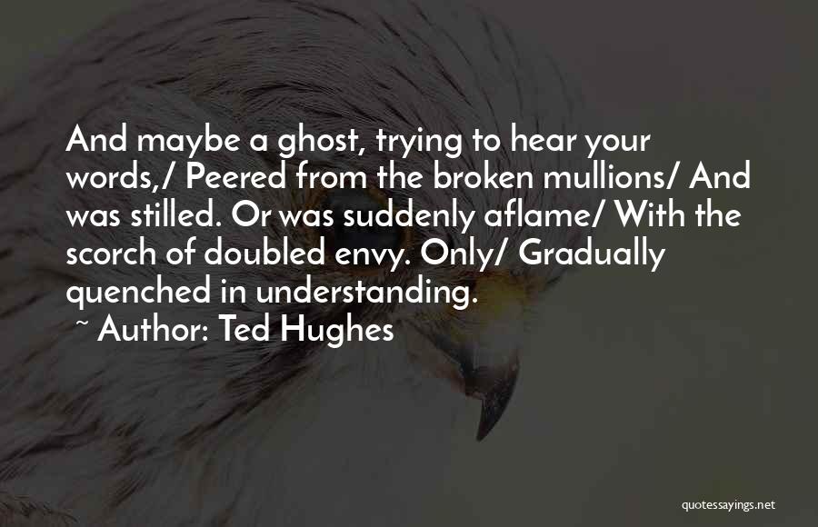 Birthday Letters Quotes By Ted Hughes