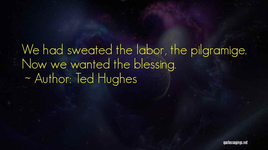 Birthday Letters Quotes By Ted Hughes