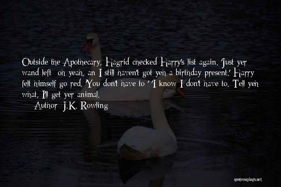 Birthday Present Quotes By J.K. Rowling Birthday Present Quotes By J.K. Rowling