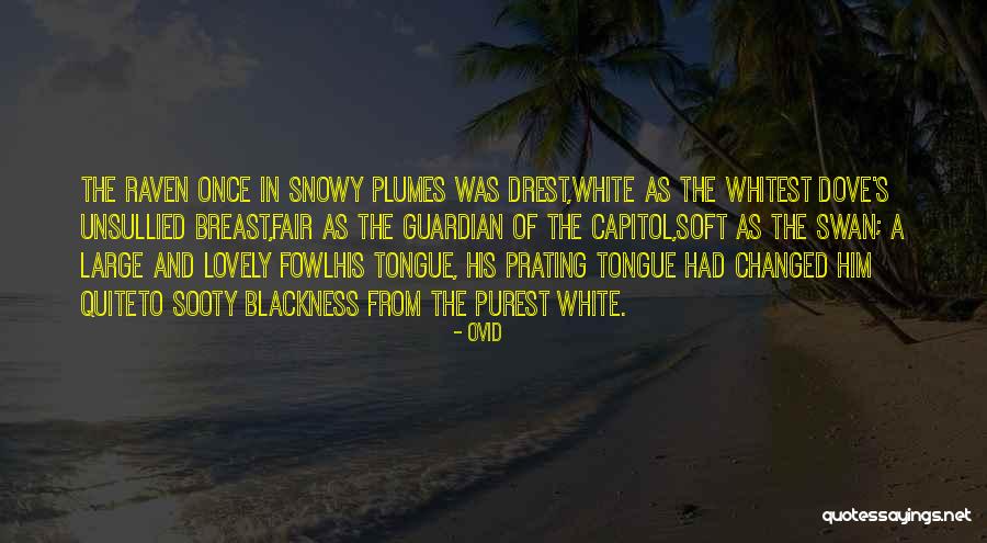 Birthday Reply Quotes By Ovid Birthday Reply Quotes By Ovid