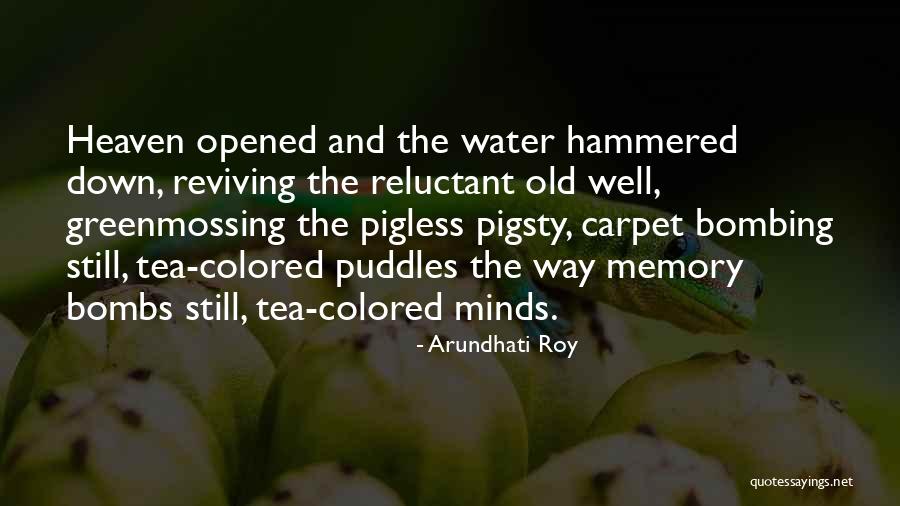 Birthday Whisky Quotes By Arundhati Roy Birthday Whisky Quotes By Arundhati Roy