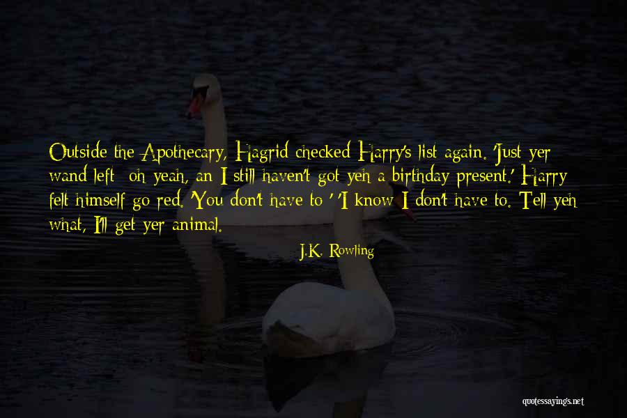 Birthday Wish List Quotes By J.K. Rowling Birthday Wish List Quotes By J.K. Rowling