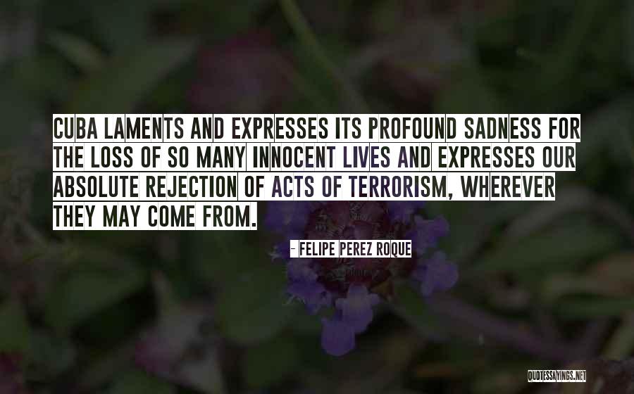 Birthday Wishes For A Niece Quotes By Felipe Perez Roque Birthday Wishes For A Niece Quotes By Felipe Perez Roque