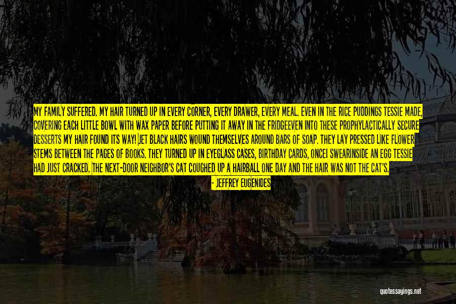 Birthday With Family Quotes By Jeffrey Eugenides Birthday With Family Quotes By Jeffrey Eugenides