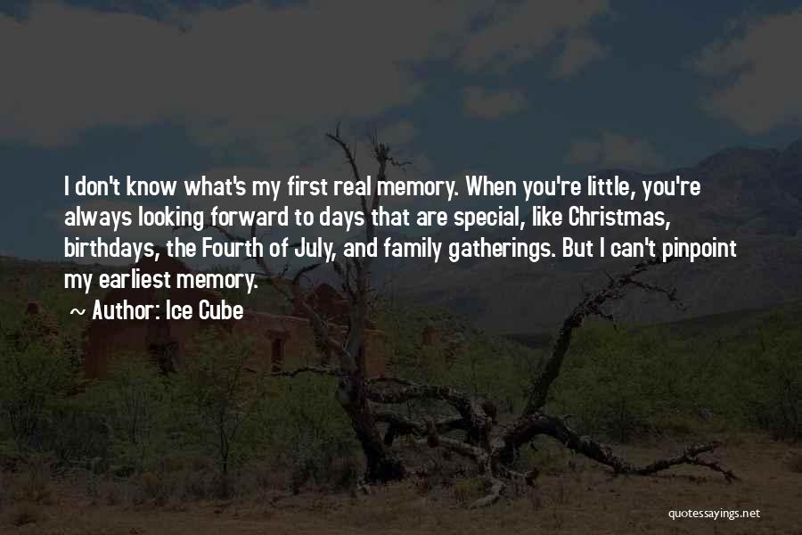 Birthdays And Family Quotes By Ice Cube