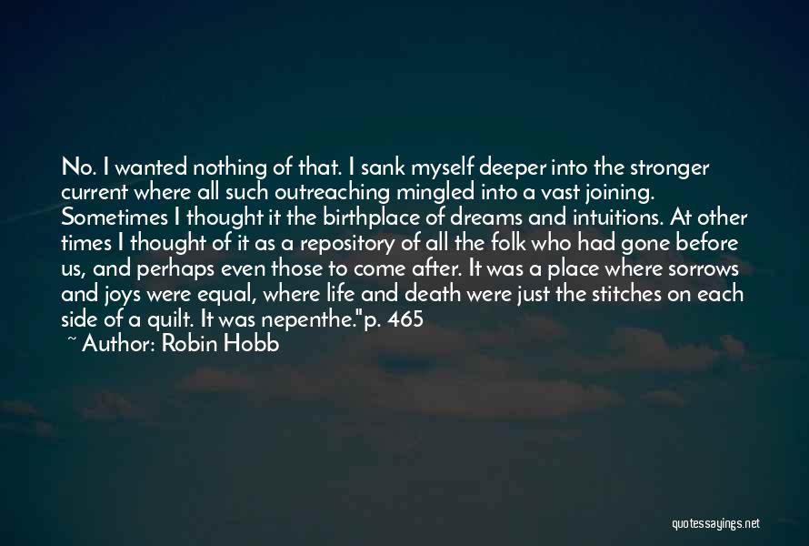 Birthplace Quotes By Robin Hobb