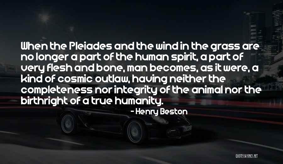 Birthright Quotes By Henry Beston Birthright Quotes By Henry Beston
