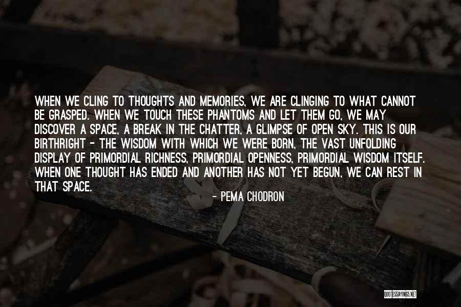 Birthright Quotes By Pema Chodron