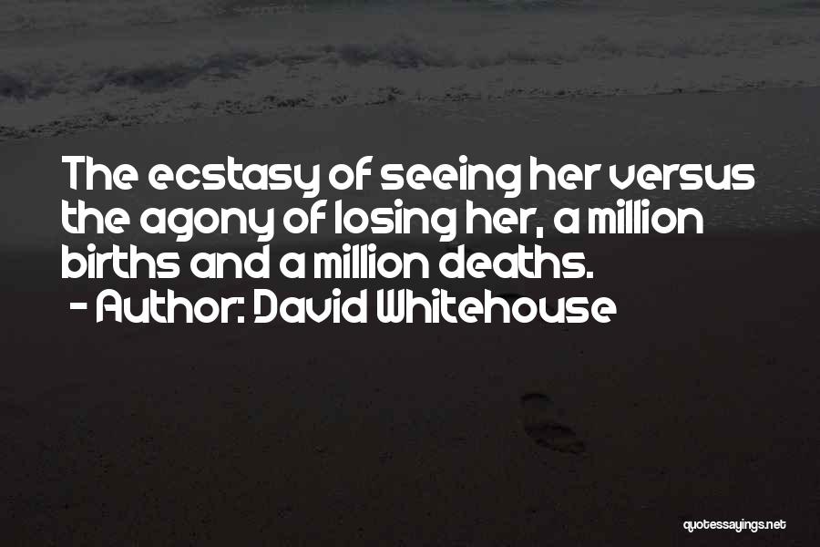 Births And Deaths Quotes By David Whitehouse