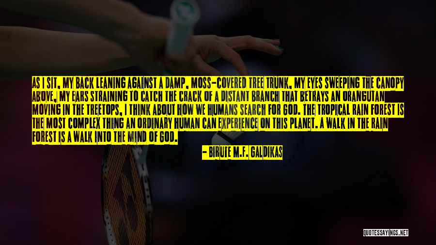 Birute Galdikas Quotes By Birute M.F. Galdikas Birute Galdikas Quotes By Birute M.F. Galdikas