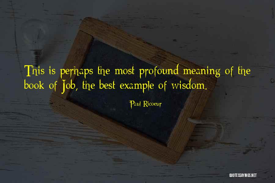 Bisaro Raven Quotes By Paul Ricoeur Bisaro Raven Quotes By Paul Ricoeur