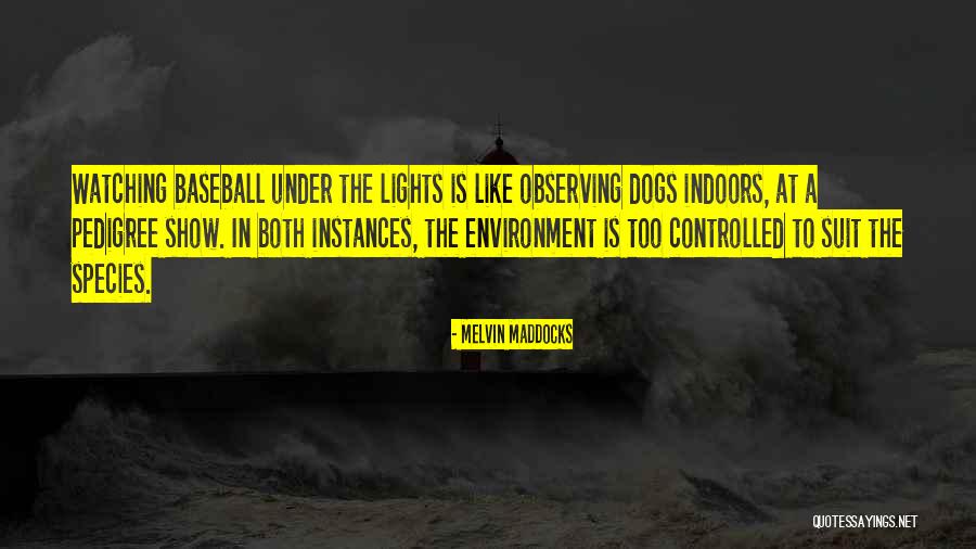 Bisaya Inspiring Quotes By Melvin Maddocks Bisaya Inspiring Quotes By Melvin Maddocks