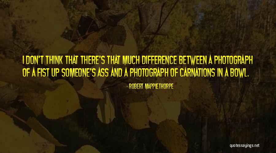 Bisayang Dako Quotes By Robert Mapplethorpe Bisayang Dako Quotes By Robert Mapplethorpe